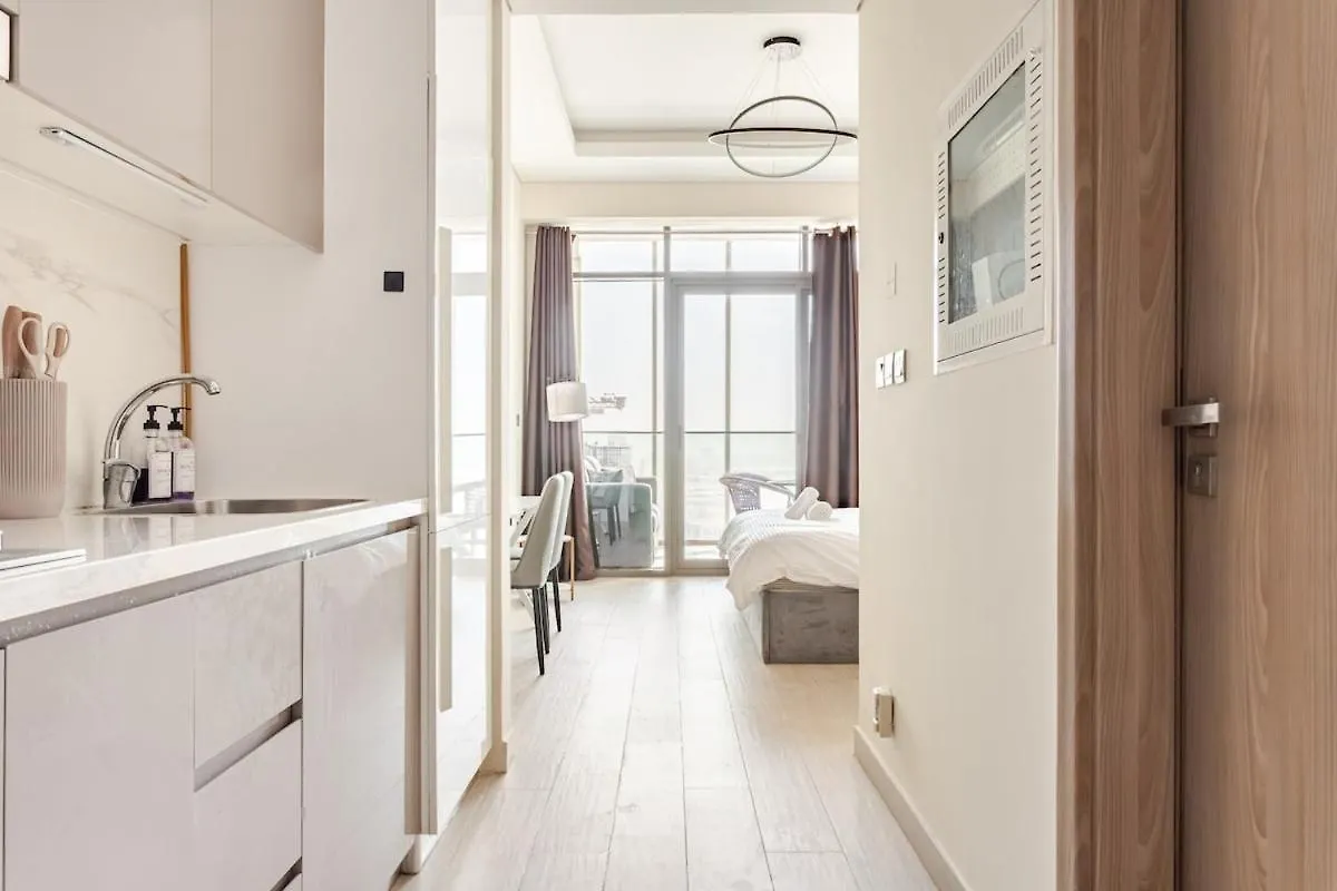 Apartment Studio Free Parking Pet Friendly Near Downtown Dubai United Arab Emirates